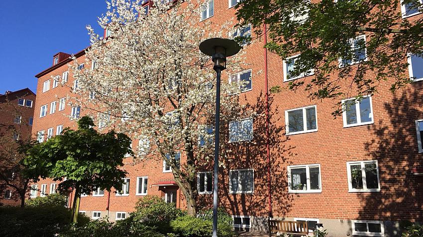 Vår på innergården